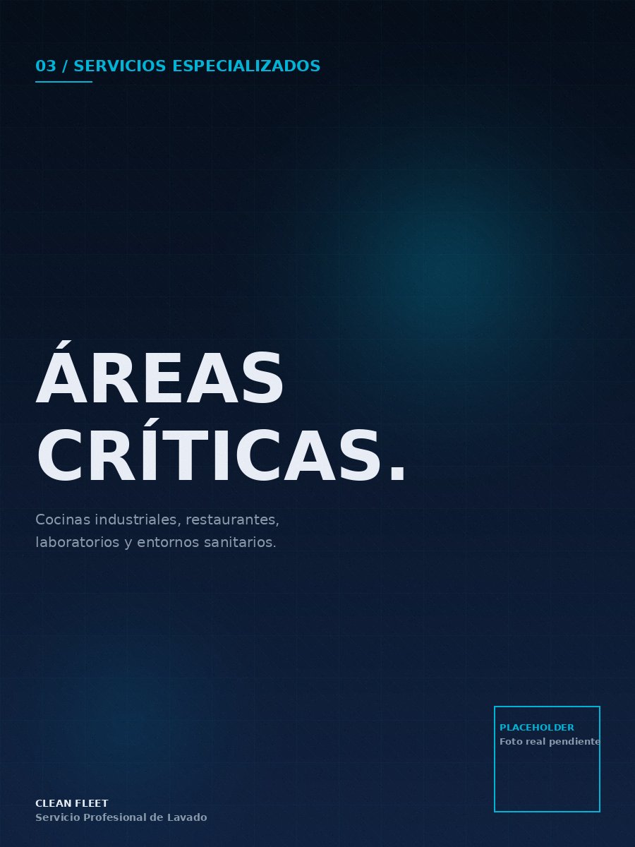 Servicios especializados — áreas críticas